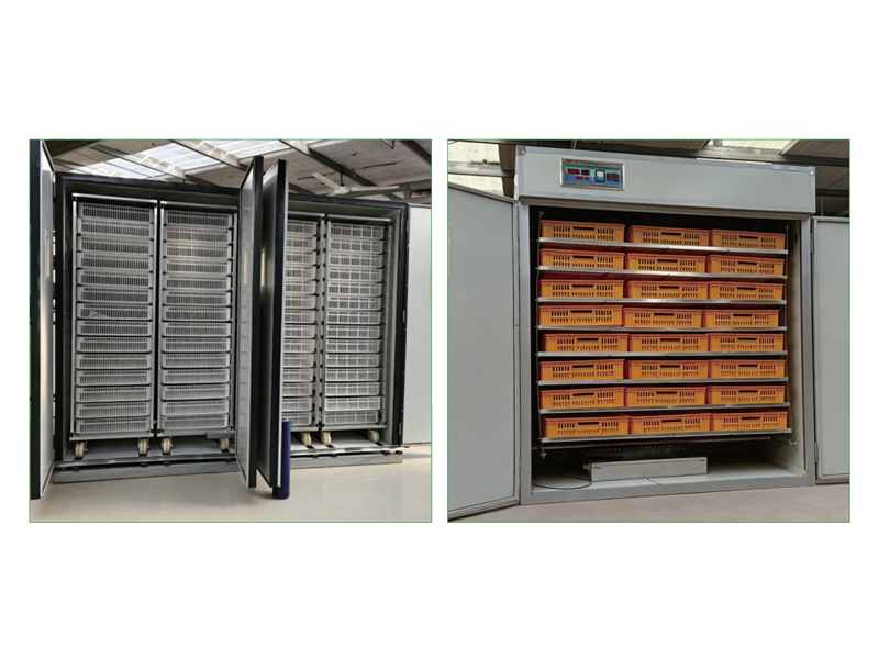 Microcomputer-controlled fully automatic incubator